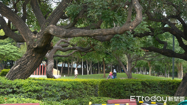 ▲台中中正公園,北區國民運動中心,休閒,生活機能。（圖／記者謝婷婷攝）