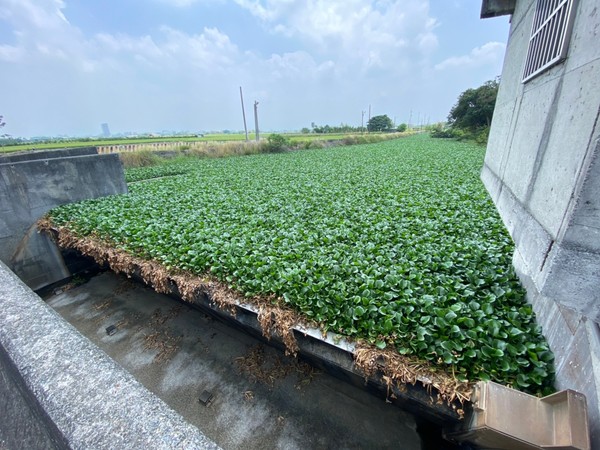 ▲▼有效阻止垃圾排入河川 嘉義市執行清淨河面工作 河面乾淨更防汛、水質更優。（圖／嘉義市政府提供）