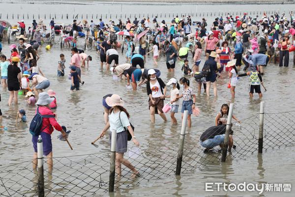 ▲「2020台南七股海鮮節-觀光赤嘴園挖文蛤體驗活動」，在七股六孔碼頭盛大開幕，市長黃偉哲親自參與開幕活動，並力推這場好吃好玩好去處。（圖／記者林悅翻攝，下同）