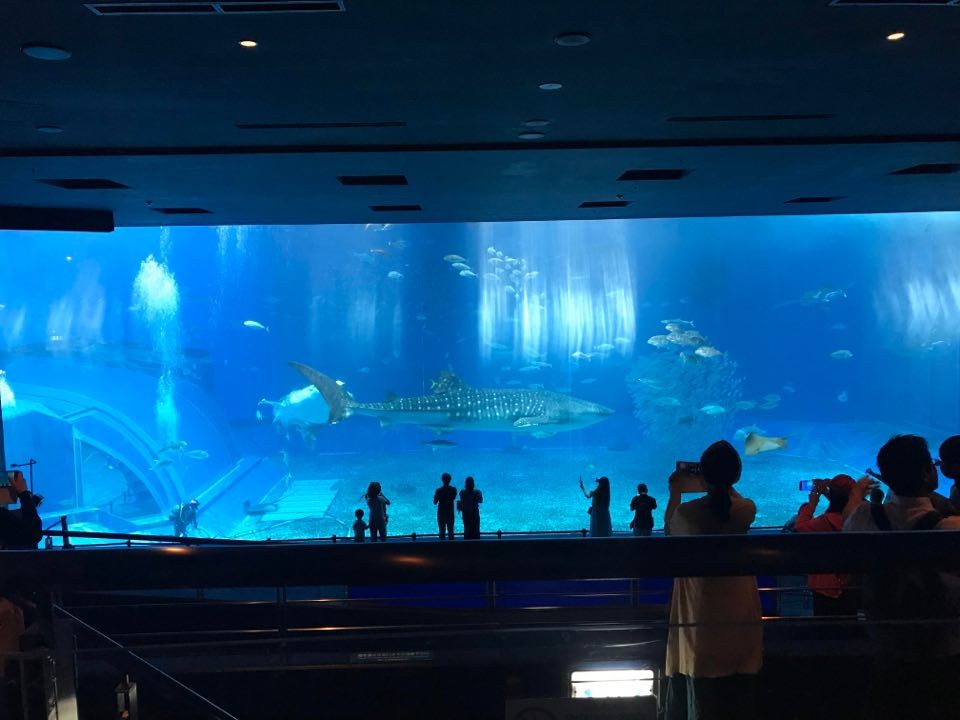 ▲▼沖繩美麗海水族館。（圖／資料照）