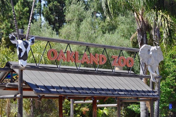 ▲奧克蘭動物園。（圖／翻攝自Facebook／Oakland Zoo）