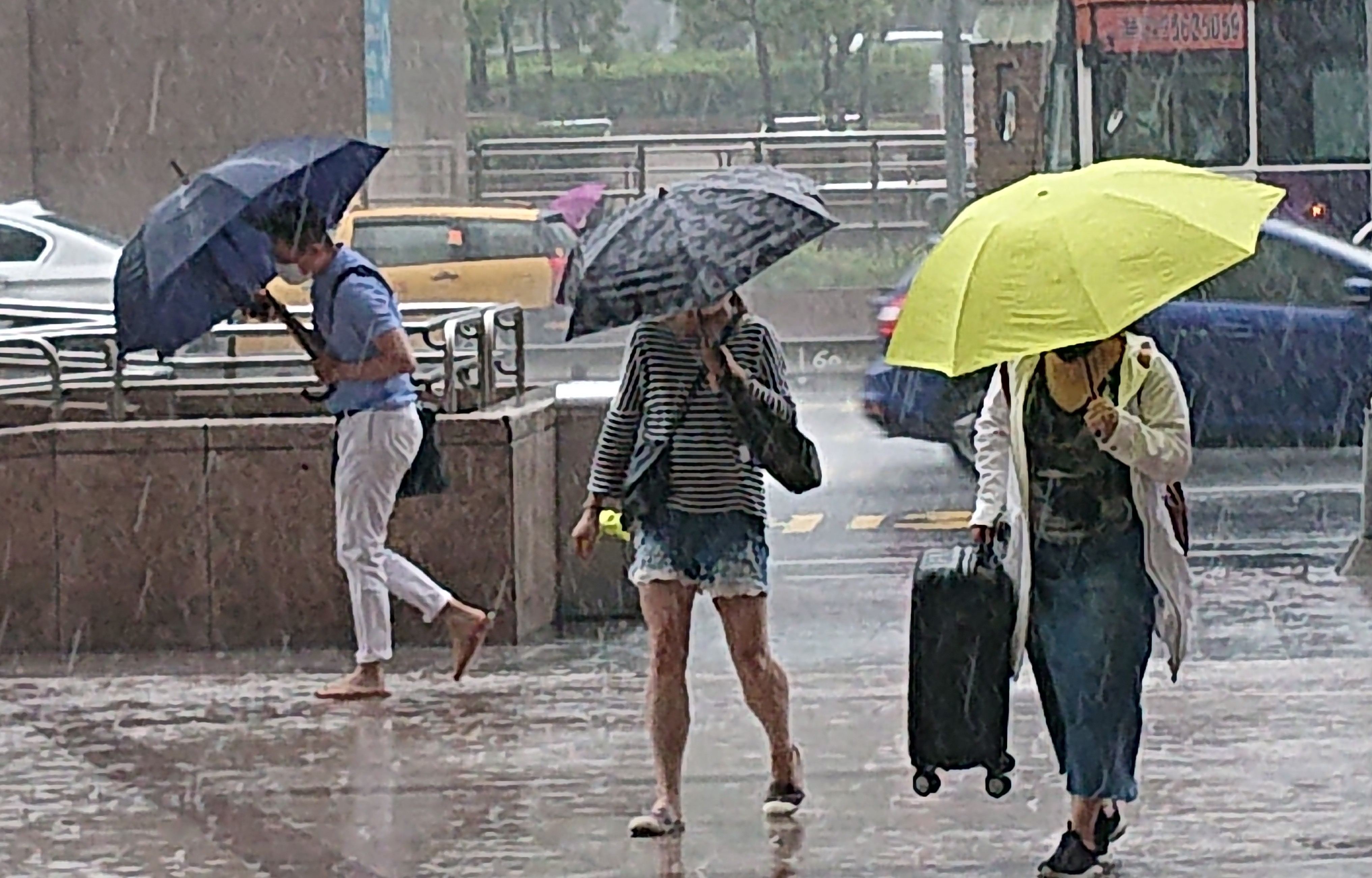 ▲▼天氣配圖 哈格比颱風擦邊過 台北市間歇性大雨陣風。（圖／記者屠惠剛攝）