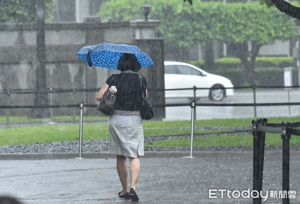 ▲▼受哈格比颱風外圍環流影響，北北基升級豪雨特報,大雨,下雨,雨天,天氣,豪大雨,雷陣雨,梅雨,降雨,氣象,行人,撐傘,雨傘,路人,天氣配圖。（圖／記者李毓康攝）