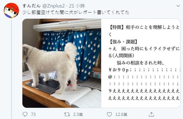 ▲日本網友狗狗幫打報告。（圖／翻攝自@Znplus2推特）