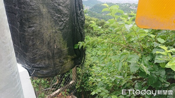 ▲▼ 前女F4團員Amy父親葉海瑞士林千坪土地被法拍，台北市士林區至善路三段71巷37弄11號旁邊土地及違建 。（圖／記者張榮恩攝）