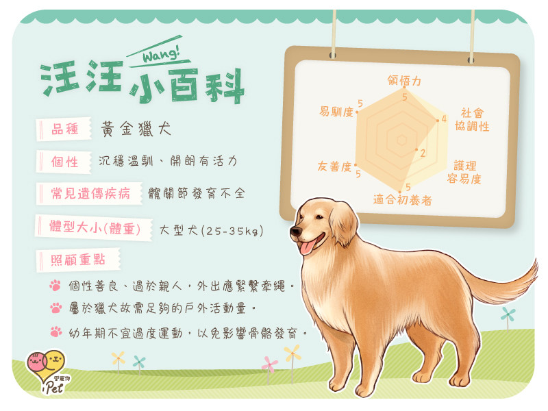 Ipetæ„›å¯µç‰© æº«æš–é™½å…‰çš„æ''å¬ŒçŠ¬ é»ƒé‡'çµçŠ¬ Ettodayåå®¶æ–°èž Ettodayæ–°èžé›²