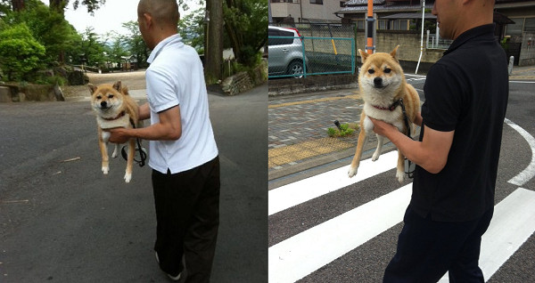 ▲▼寺廟柴不想走路秒石化！　住持捧「傲嬌臉雕像」沿路抬回家。（圖／翻攝自Twitter:senjuin1010）