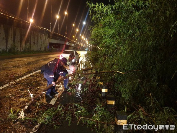 ▲台南市安定區國八側車道路邊路樹，受到「哈格比」颱風外圍環流影響，致路樹橫倒於快車道上，善化分局警方冒雨移除障礙物，保障行車安全。（圖／記者林悅翻攝，下同）