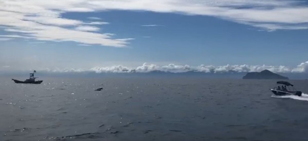 ▲▼小艇全速朝龜山島海域的鯨群衝撞，網友留言大罵。（圖／第一岸巡隊提供，下同）