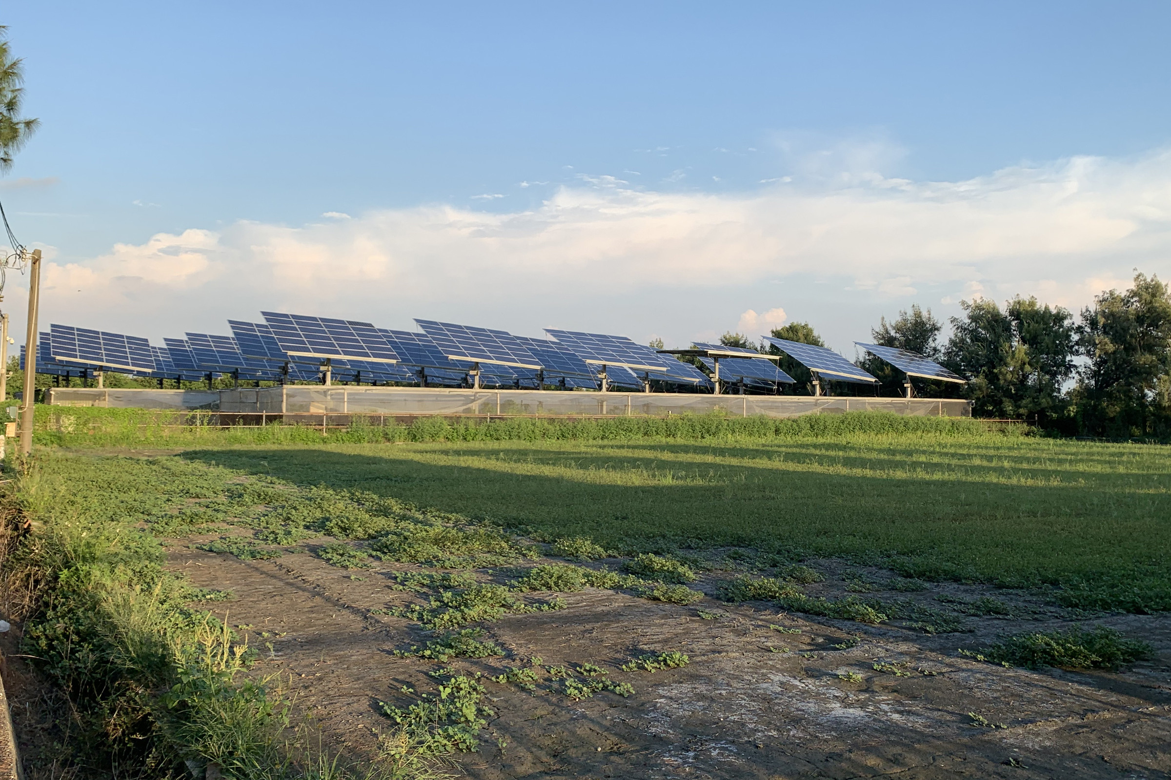 ▲農地上搭建太陽能光電設施，均依規定設置取得合法「綠能設施」，且該設施應附屬於農業設施，並必須持續結合農業經營使用。（圖／記者蔡佩旻攝）