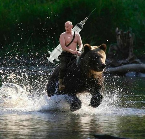 ▲普丁騎黑熊背真桶。（圖／翻攝自Vladimir Putin臉書）
