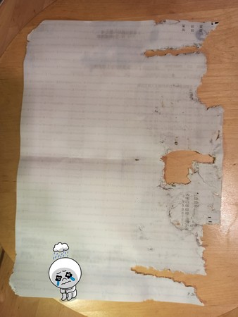 ▲▼             。（圖／翻攝自Facebook爆笑2公社）