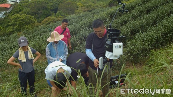 ▲ 新北農業局推青農力輔導計畫 汐止青農蔡旭志打造「智慧化茶園」管理。（圖／新北市農業局提供）