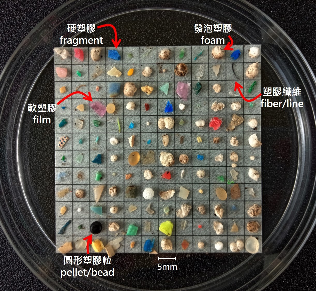 ▲▼2019年台灣沿海塑膠微粒四季調查結果發佈。（圖／黑潮海洋文教基金會提供）