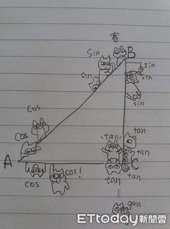 女兒數學學不好 爸一看作業 三角函數畫滿貓 網讚爆 太有才 Ettoday寵物雲 Ettoday新聞雲