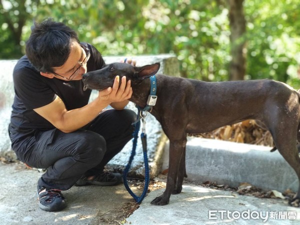 ▲懷念過世老犬身影！熱血志工投入動物之家　超Q手繪圖提高認養率。（圖／新北市政府動保處提供，請勿隨意翻拍，以免侵權。）