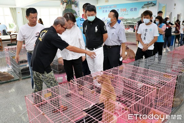 ▲▼ 讓流浪動物減量 「生命有愛 浪犬無礙」活動 用行動守護毛小孩            。（圖／記者翁伊森翻攝）