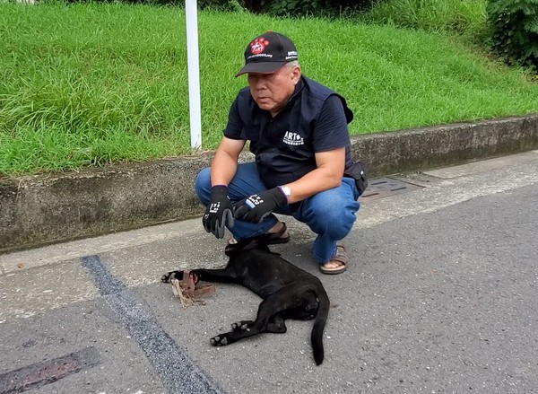 ▲台灣動物緊急救援小組接獲通報，在高雄澄清湖風景區一帶，發現一隻流浪小黑狗，左前腳掌掛著一只捕獸夾。（圖／台灣動物緊急救援小組提供）