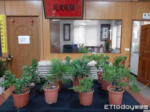 ▲台南市警永康分局永信派出所，不到1天查獲涉嫌竊案的江姓男子，起獲盆栽贓物一批。（圖／記者林悅翻攝，下同）