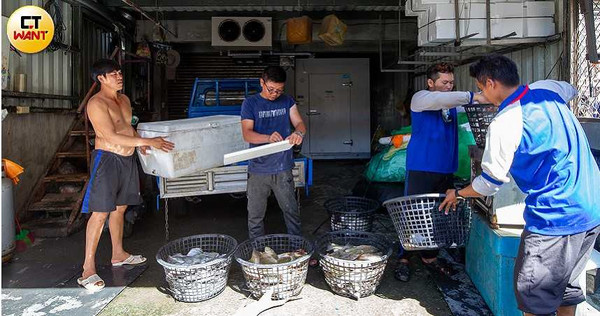 夏天是重要魚季，許秦源的魚船過去七月就可賺到逾百萬，上月收入卻連十萬都不到。（圖／宋岱融攝）