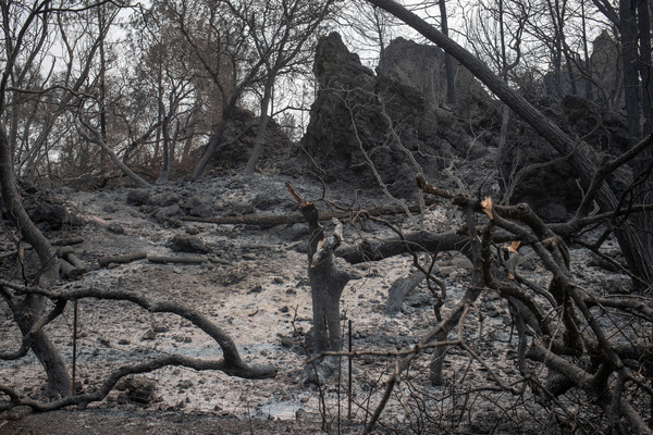 ▲▼加州遭遇25年來最嚴重的野火浩劫，無數房屋與森林短短一個月內都被燒毀。（圖／路透）