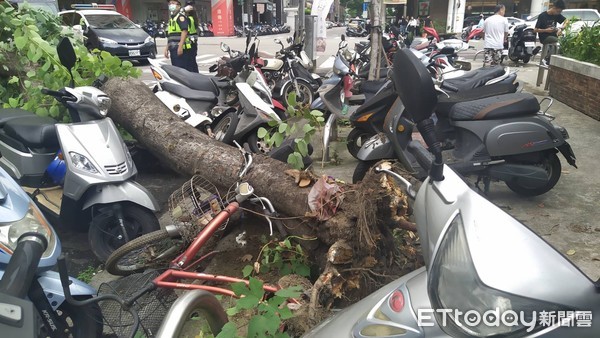 ▲台中無風路樹突然倒塌壓倒機車。（圖／民眾提供）