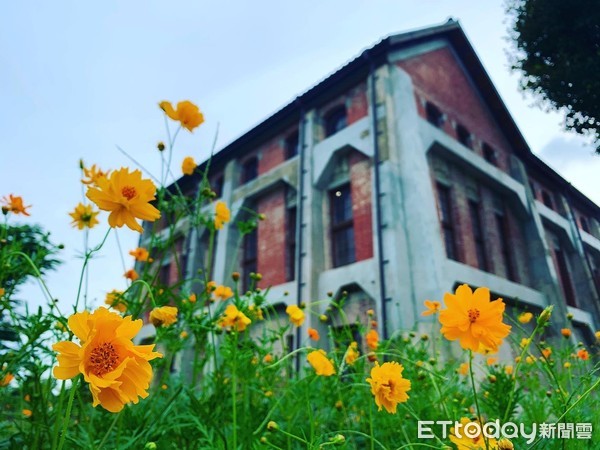 ▲台南山上花園水道博物館目前正值繁花盛開，不少民眾利用假日，前來賞花遊憩，也成為台南另一處熱門打卡拍照景點。（圖／記者林悅翻攝，下同）