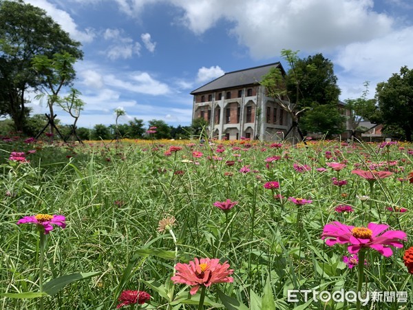 ▲台南山上花園水道博物館目前正值繁花盛開，不少民眾利用假日，前來賞花遊憩，也成為台南另一處熱門打卡拍照景點。（圖／記者林悅翻攝，下同）