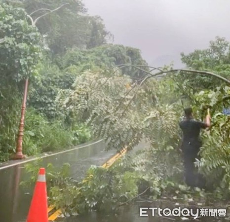 ▲台南市「路樹倒伏處理平台」發揮效果，豪雨造成路樹倒伏大幅下降，且查處速度加快。（圖／記者林悅翻攝，下同） 