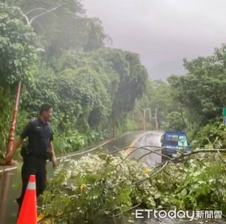 ▲台南市「路樹倒伏處理平台」發揮效果，豪雨造成路樹倒伏大幅下降，且查處速度加快。（圖／記者林悅翻攝，下同） 