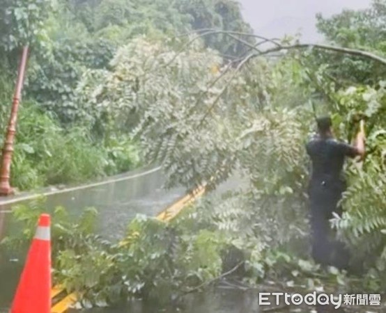 ▲台南市「路樹倒伏處理平台」發揮效果，豪雨造成路樹倒伏大幅下降，且查處速度加快。（圖／記者林悅翻攝，下同） 