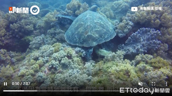 ▲海龜肛門拉出塑膠便便！　他4年蒐集105條「7成有人造垃圾」。（圖／即新聞／YouTube頻道「海龜痴漢」）