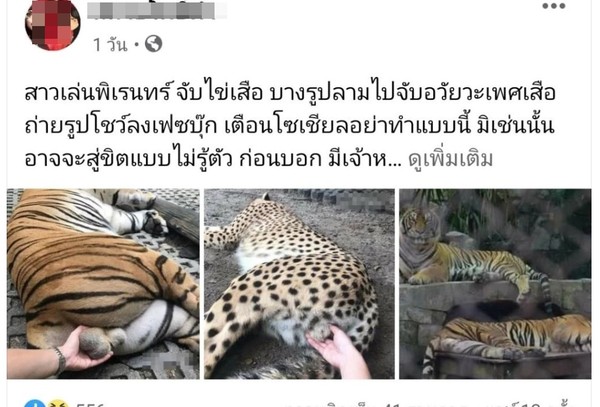6歲老虎睡著慘被性騷擾！　女遊客竟然伸手去抓牠的蛋蛋。（圖／翻攝自Facebook）