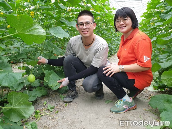 ▲屏東縣里港鄉江育馨、江晉德姐弟，打造有機美濃、哈蜜瓜世界             。（圖／記者陳崑福翻攝）