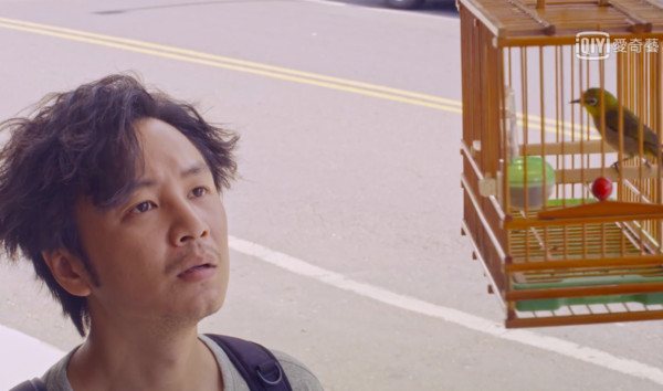 ▲▼  張書偉放生綠繡眼引發爭議           。（圖／翻攝自愛奇藝、我的婆婆官方臉書）