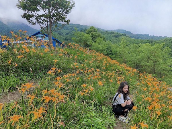 ▲「魔法女屋景觀餐廳」金針花。（圖／IG@_____.yuuuu提供，請勿隨意翻拍，以免侵權）