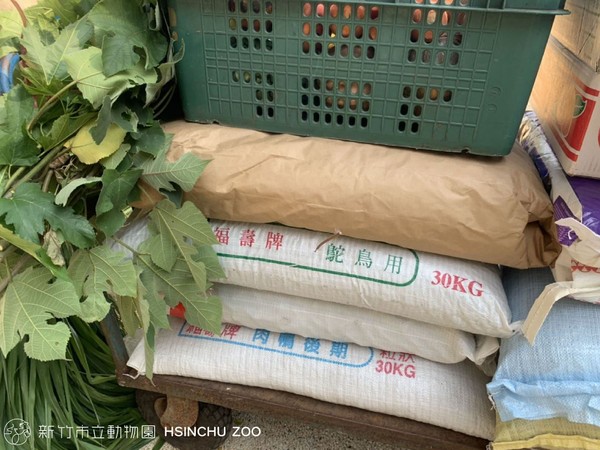 ▲滿滿牧草與蔬果！新竹動物園虔誠祭拜「天上動物」：永遠是家人。（圖／新竹市立動物園 Hsinchu Zoo臉書提供。）