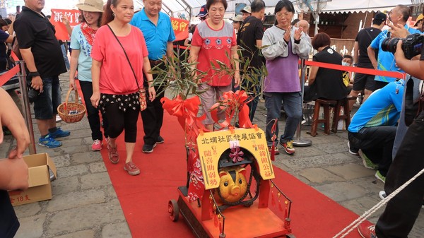 ▲拒殺千斤神豬祭祀！　義民廟邀55隻「變裝豬公」走紅毯。（圖／翻攝自「台灣動物社會研究會」）