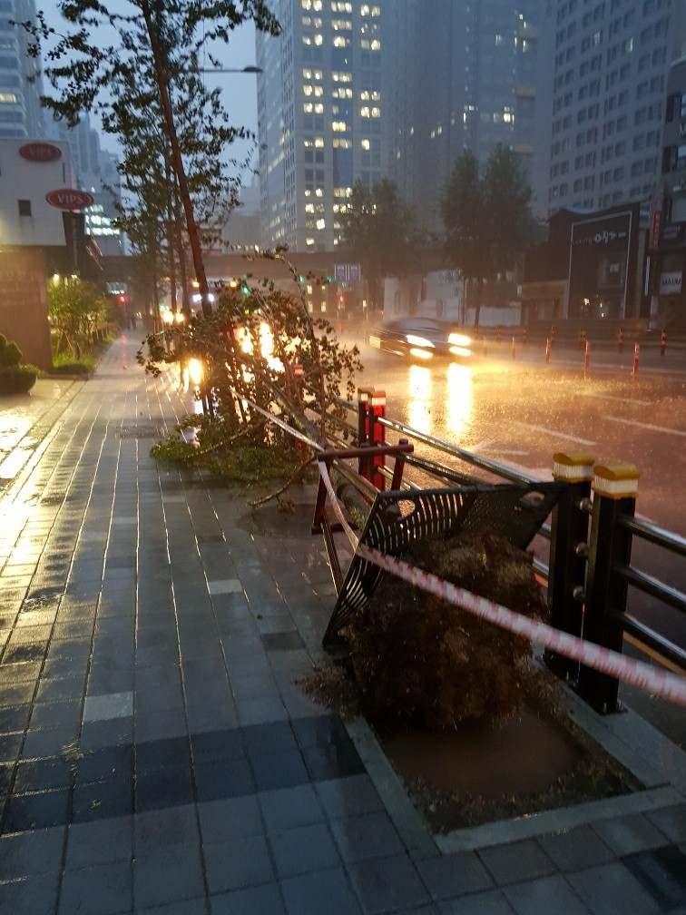 ▲▼颱風海神登陸，釜山市區內傳出各種災情。（圖／達志影像）