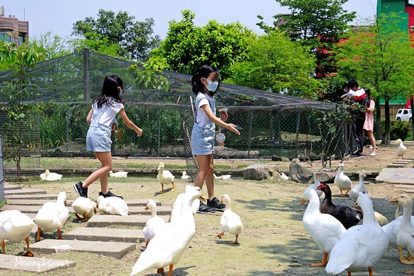 ▲▼鴨寮故事館。（圖／兔兒毛毛姊妹花提供）