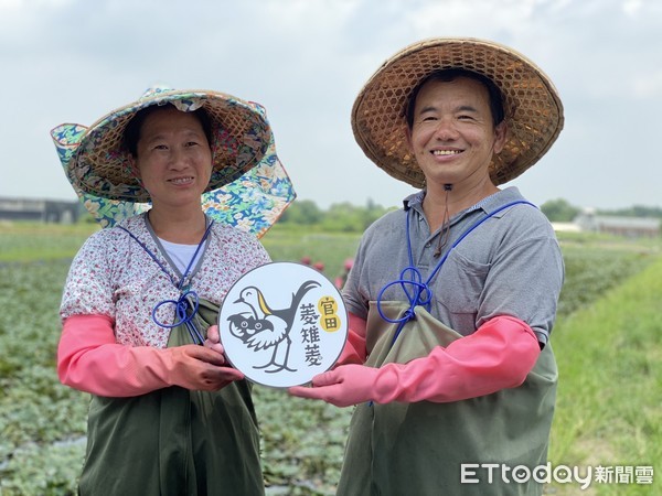 ▲全聯和友善環境的台南官田菱雉菱合作，讓民眾能在全聯門市買到無毒、農藥零檢出的健康好吃官田菱角。（圖／記者林悅翻攝，下同）