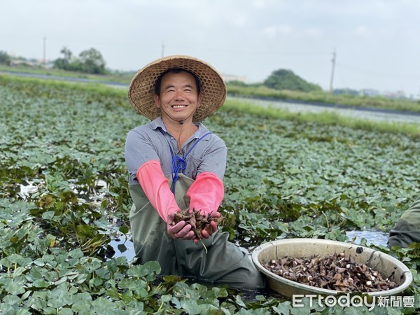 ▲全聯和友善環境的台南官田菱雉菱合作，讓民眾能在全聯門市買到無毒、農藥零檢出的健康好吃官田菱角。（圖／記者林悅翻攝，下同）