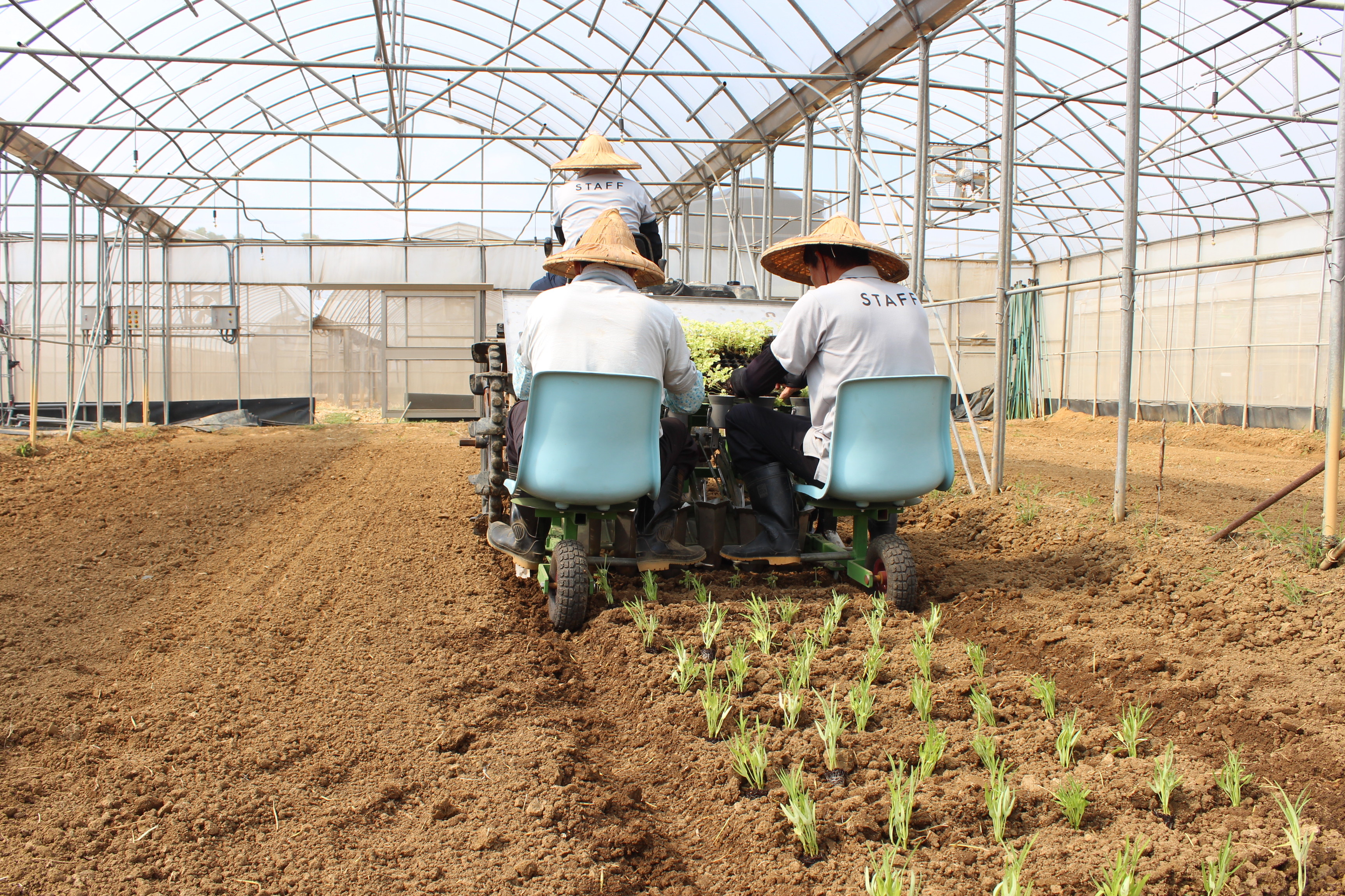 ▲▼ 耕田,田地,農地,農機具,播種。（圖／桃園區農業改良場提供）