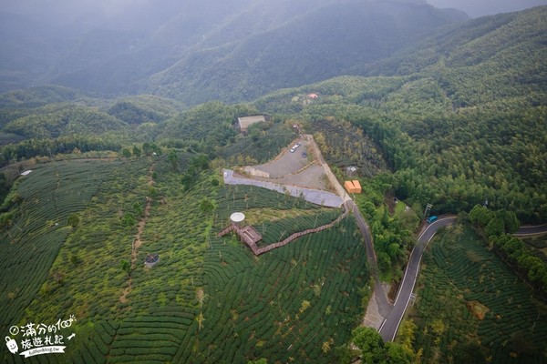 ▲▼銀杏森林＆大崙山觀景臺。（圖／滿分的旅遊札記提供）