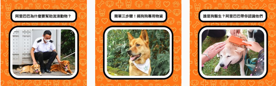 ▲▼阿里巴巴集團攜手台灣狗醫生協會，於社群媒體號召大眾一同做公益。（圖／阿里巴巴集團提供）