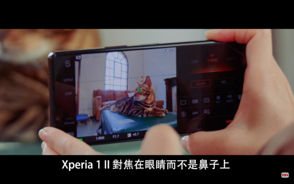 ▲▼手機,自動對焦,連拍,毛小孩,寵物,Sony,Xperia 1 II。（圖／Sony提供）