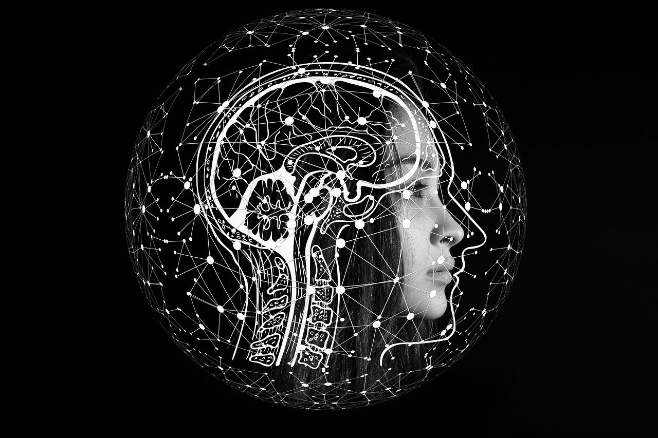 ▲▼大腦，人腦，腦，智商，IQ，理性，聰明。（圖／Gerd Altmann／取自免費圖庫Pixabay）