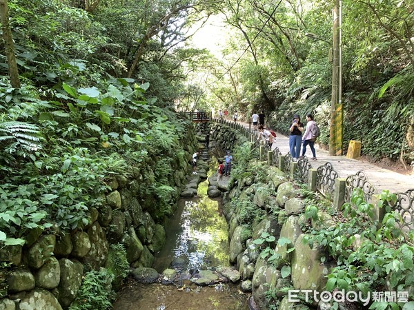 ▲虎山生態步道。（圖／記者彭懷玉攝）