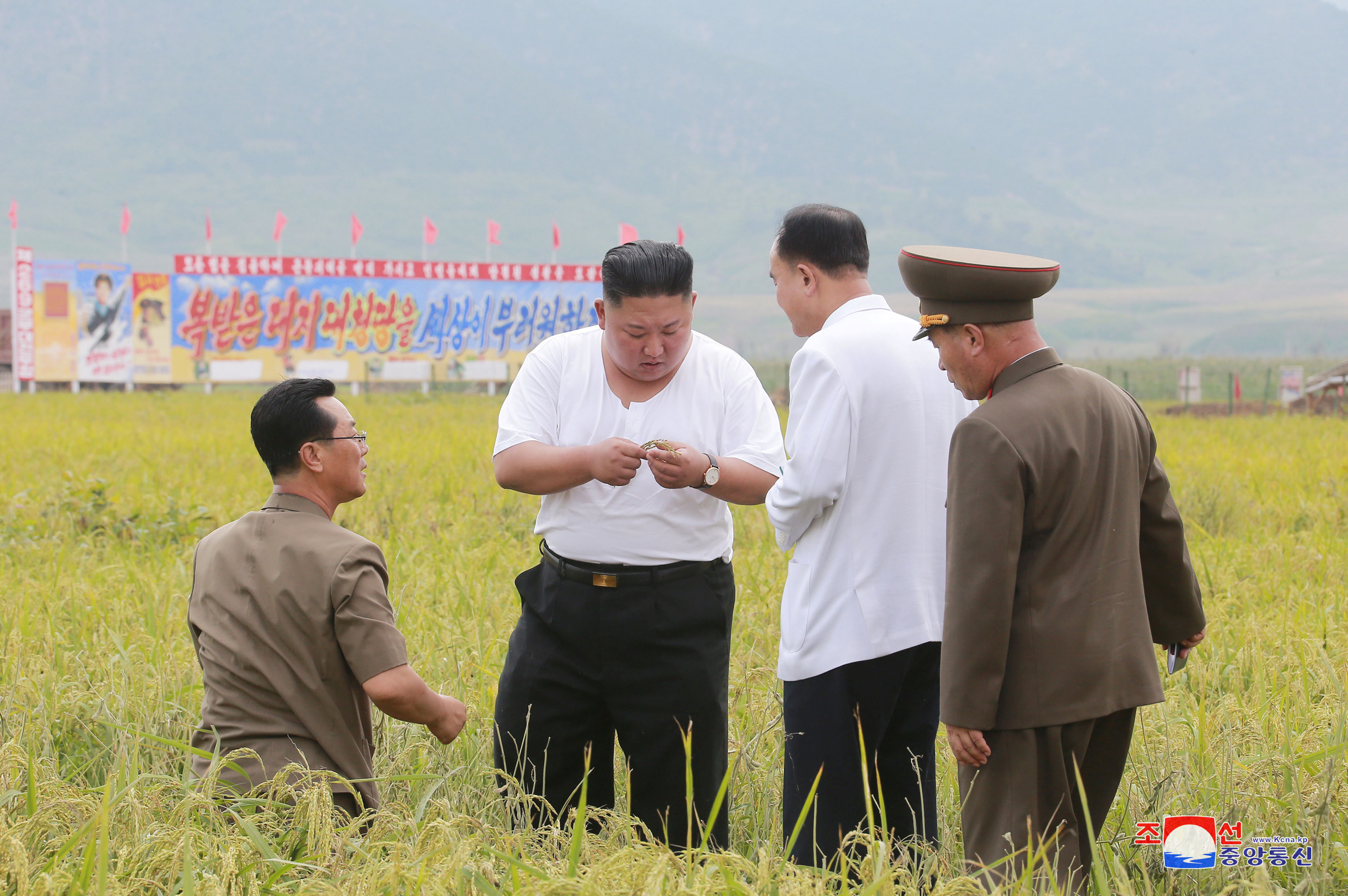 ▲▼金正恩視察黃海北道銀波郡災區。（圖／路透社）