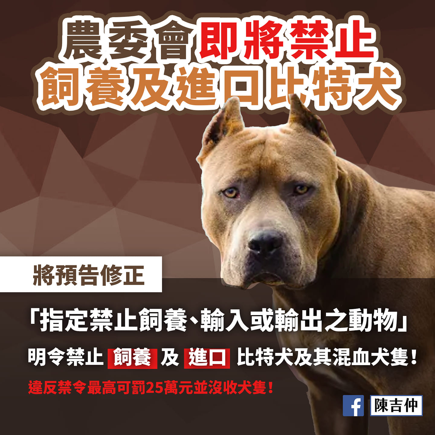 ▲▼農委會即將禁止飼養及進口比特犬，既有飼主請依規定善盡飼主責任。（圖／取自陳吉仲臉書）